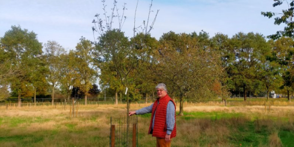 Nieuwe Oogst_Ado Vermeeren