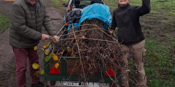 signal-2025-12-16-110758_005_kopie